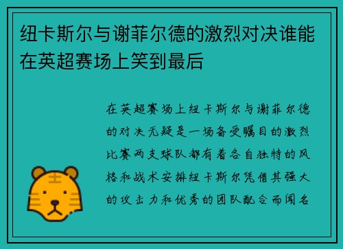 纽卡斯尔与谢菲尔德的激烈对决谁能在英超赛场上笑到最后